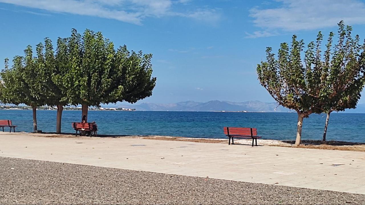 Ferienwohnung Beautiful Choice - Near Athens Airport - 50M From The Sea - Iq+ Artemida  Exterior foto